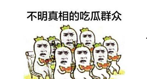 聊娱乐的吃瓜群众评价,聊娱乐话题下的众生相