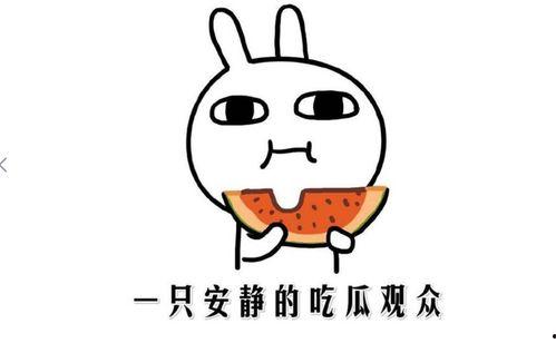 网友吃瓜什么意思啊,网络热词背后的文化现象